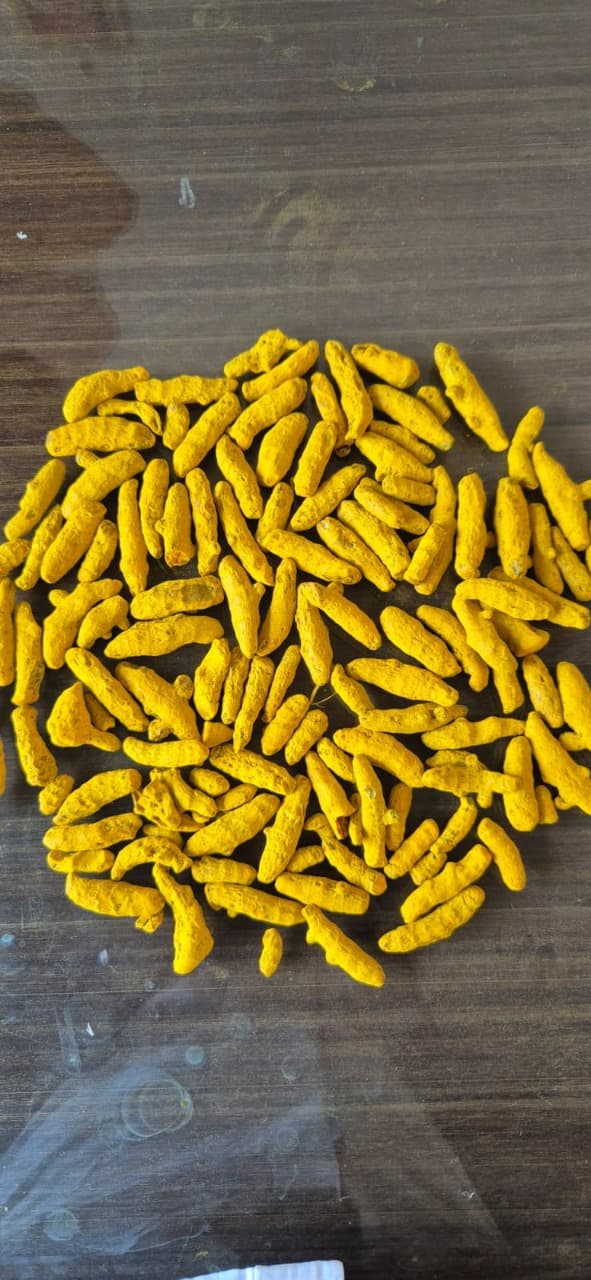 Pure Salem Turmeric (Halad)